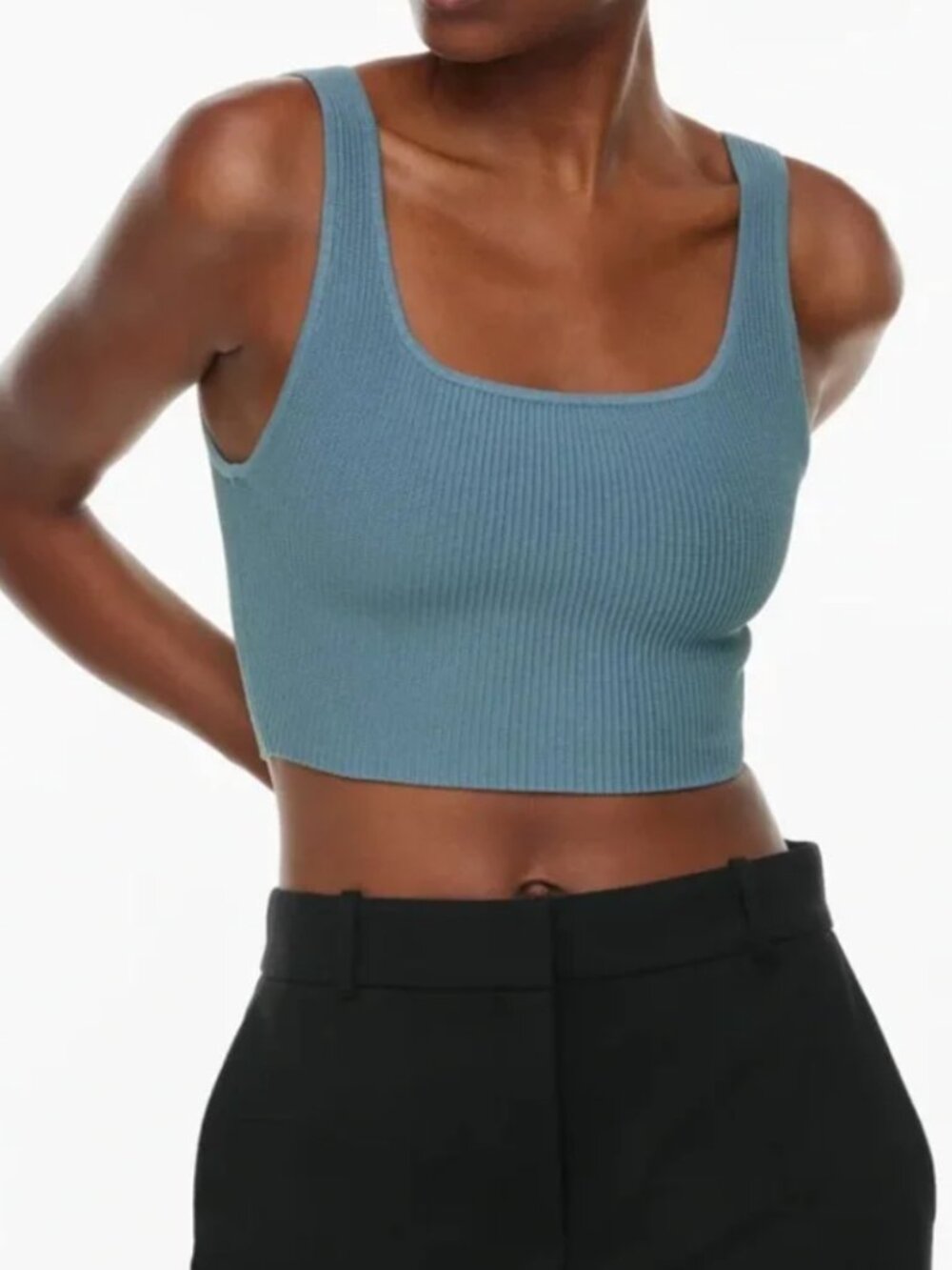Aritizia Sculpt Knit Cropped Tank in Blue